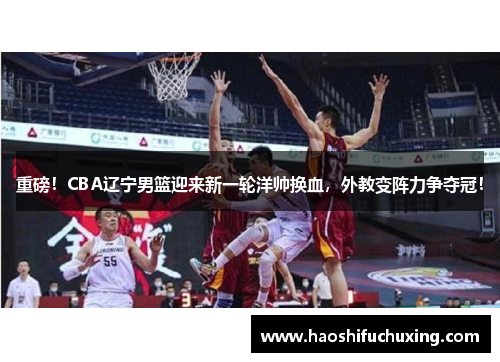 重磅！CBA辽宁男篮迎来新一轮洋帅换血，外教变阵力争夺冠！