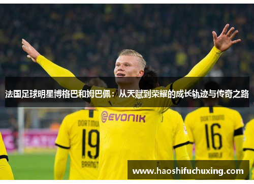法国足球明星博格巴和姆巴佩：从天赋到荣耀的成长轨迹与传奇之路
